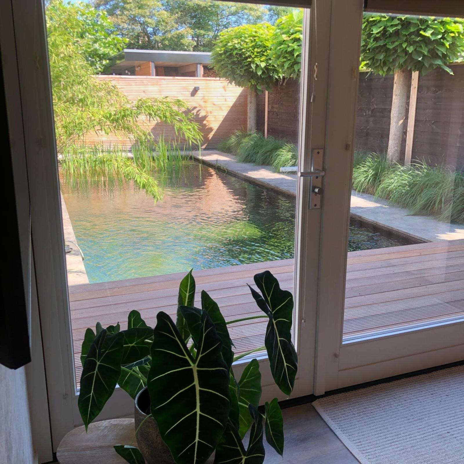 TwelloThe Little White House住宿加早餐旅馆 外观 照片